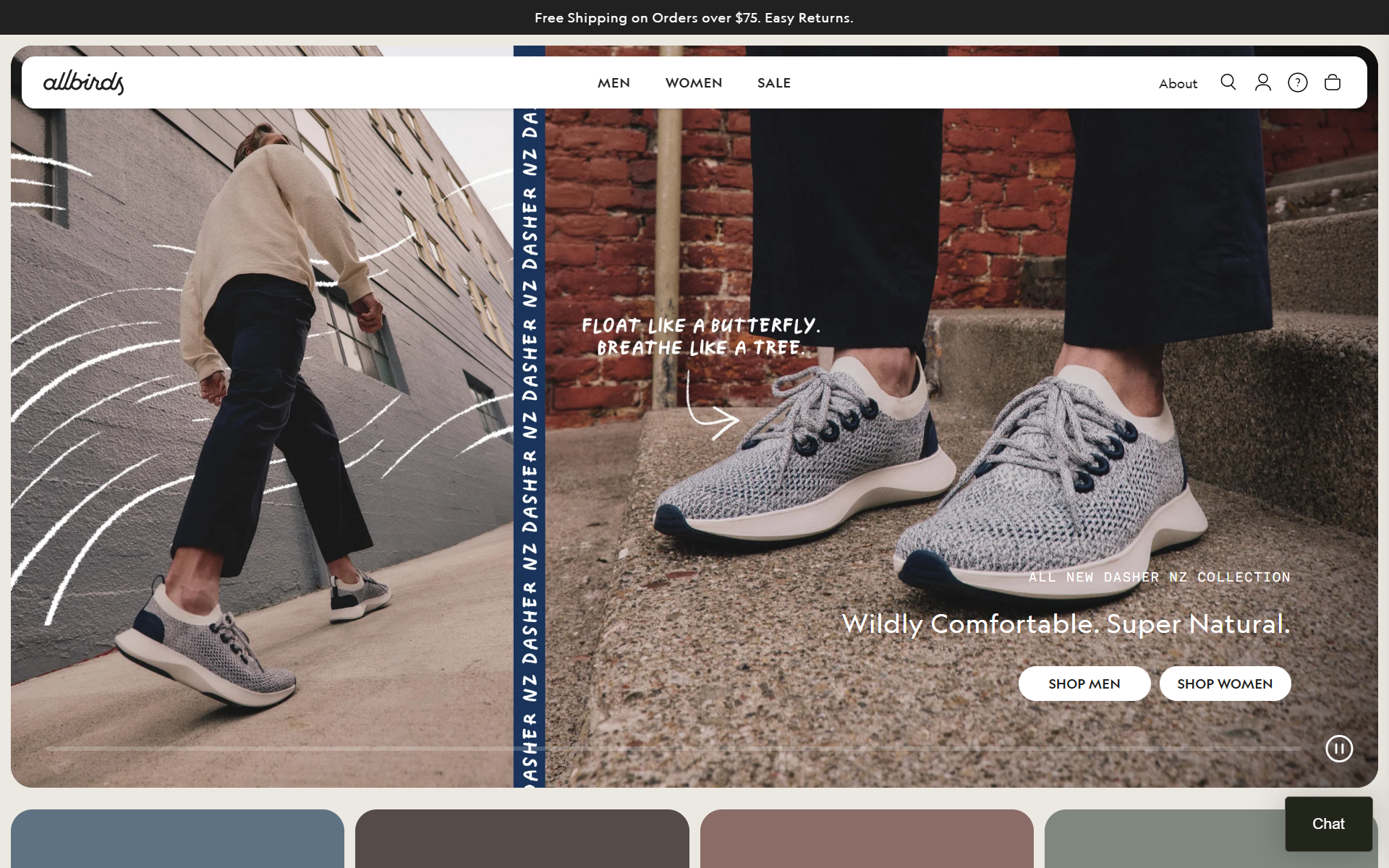Allbirds screenshot